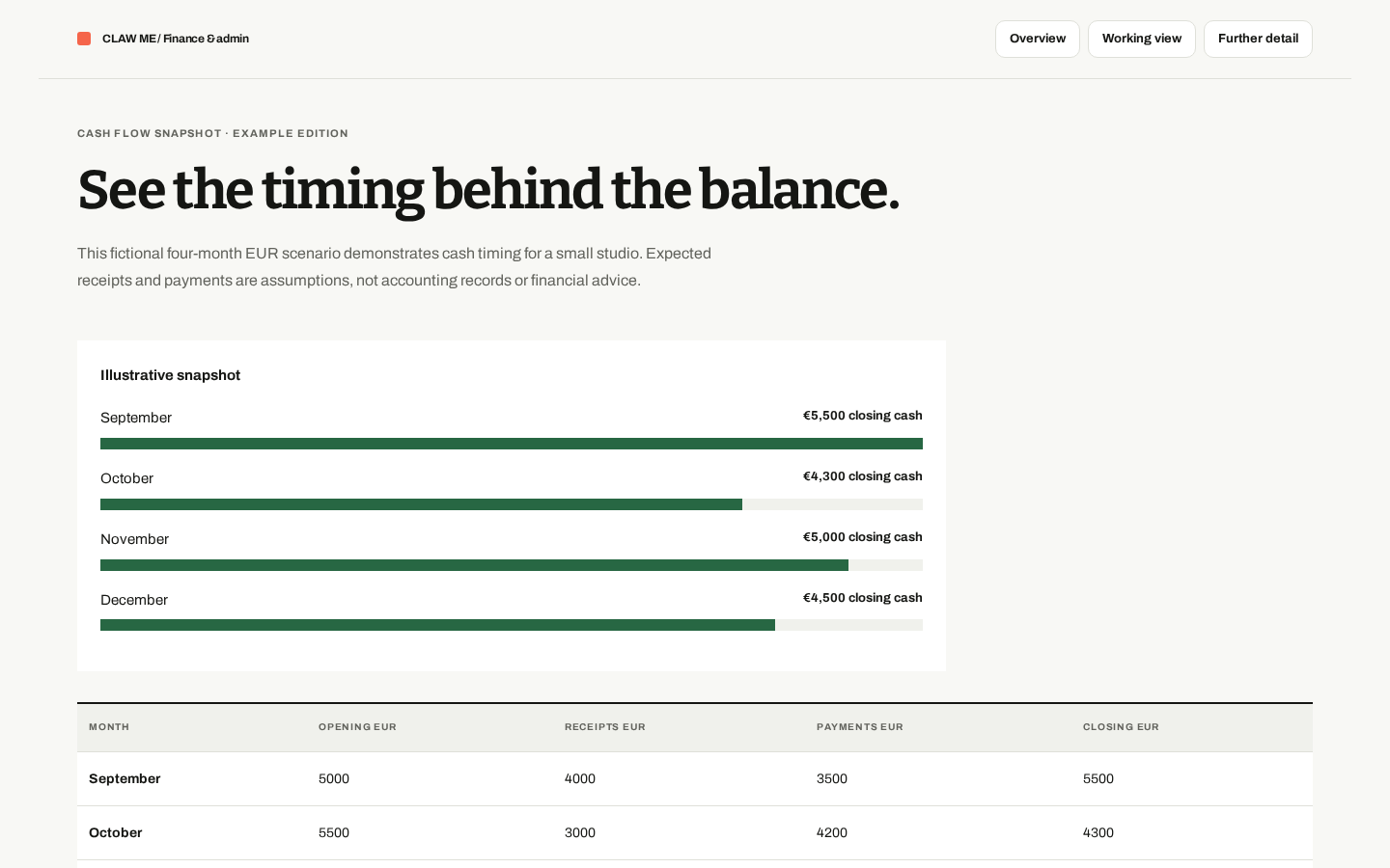 Preview of Cash Flow Snapshot